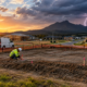 Are Editable House Plans Worth Buying Today?